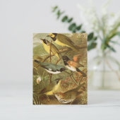 Noord-Amerikaanse vogels | Briefkaart Gustav Mü t (Staand voorkant)