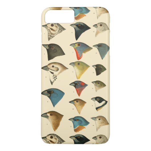 Noord-Amerikaanse vogels Case-Mate iPhone Case (Achterkant)