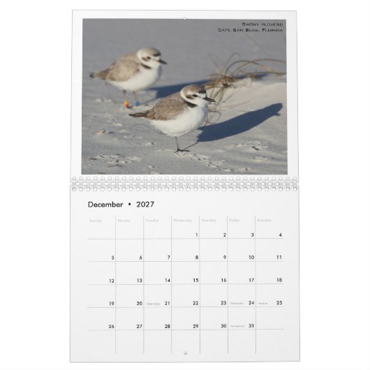 Noord-Amerikaanse vogels door Emily Willoughby Kalender (Dec 2027)