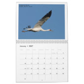 Noord-Amerikaanse vogels door Emily Willoughby Kalender (Jan 2027)