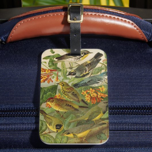 Noord-Amerikaanse vogels | Gustav Mü tzel Bagagelabel (Voorkant Insitu 2)