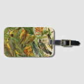 Noord-Amerikaanse vogels | Gustav Mü tzel Bagagelabel (Voorkant (horizontaal))