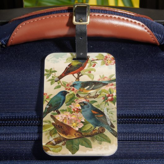 Noord-Amerikaanse vogels | Gustav Mü tzel Bagagelabel (Voorkant Insitu 2)