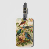 Noord-Amerikaanse vogels | Gustav Mü tzel Bagagelabel (Voorkant (verticaal))