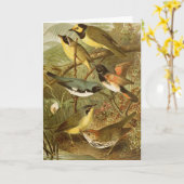 Noord-Amerikaanse vogels | Gustav Mü tzel Kaart (Gele Bloem)