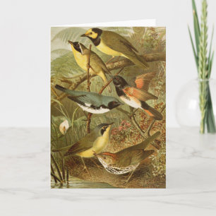 Noord-Amerikaanse vogels   Gustav Mü tzel Kaart