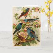 Noord-Amerikaanse vogels | Gustav Mü tzel Kaart (Gele Bloem)