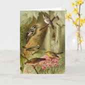 Noord-Amerikaanse vogels | Gustav Mü tzel Kaart (Gele Bloem)