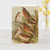 Noord-Amerikaanse vogels | Gustav Mü tzel Kaart (Gele Bloem)