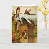 Noord-Amerikaanse vogels | Gustav Mü tzel Kaart (Gele Bloem)