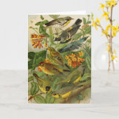 Noord-Amerikaanse vogels | Gustav Mü tzel Kaart (Gele Bloem)