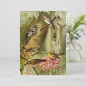 Noord-Amerikaanse vogels | Gustav Mü tzel Kaart (Staand voorkant)