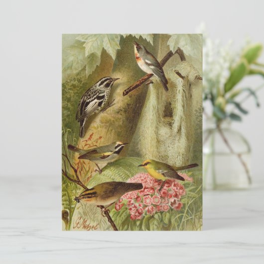 Noord-Amerikaanse vogels | Gustav Mü tzel Kaart (Staand voorkant)