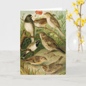 Noord-Amerikaanse vogels | Gustav Mü tzel Kaart (Gele Bloem)