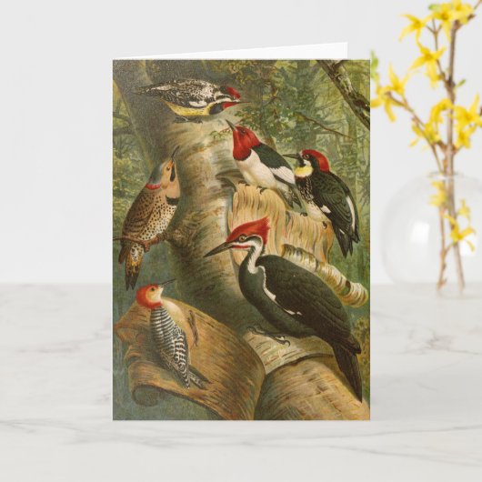 Noord-Amerikaanse vogels | Gustav Mü tzel Kaart (Gele Bloem)