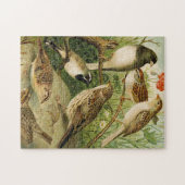 Noord-Amerikaanse vogels | Gustav Mü tzel Legpuzzel (Horizontaal)