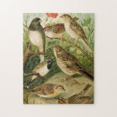 Noord-Amerikaanse vogels | Gustav Mü tzel Legpuzzel (Verticaal)