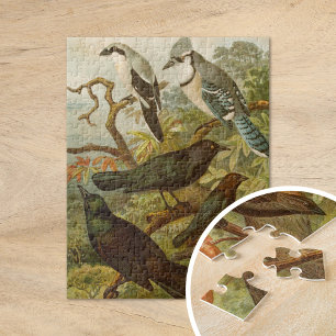 Noord-Amerikaanse vogels Gustav Mü tzel Legpuzzel