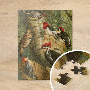 Noord-Amerikaanse vogels Gustav Mützel Legpuzzel