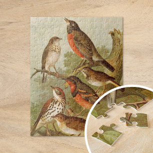 Noord-Amerikaanse Vogels Gustav Mützel Legpuzzel
