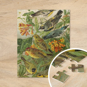 Noord-Amerikaanse vogels Gustav Mü tzel Legpuzzel