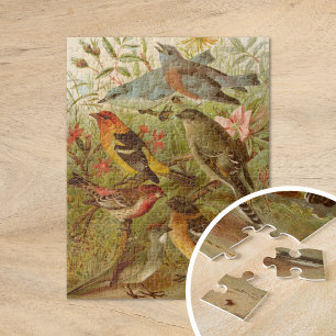 Noord-Amerikaanse Vogels Gustav Mützel Legpuzzel