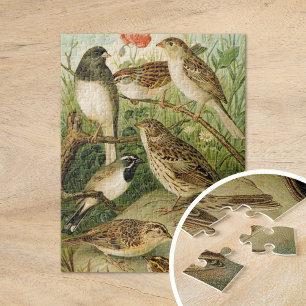 Noord-Amerikaanse vogels Gustav Mü tzel Legpuzzel