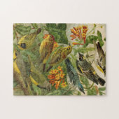 Noord-Amerikaanse vogels | Gustav Mü tzel Legpuzzel (Horizontaal)