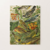 Noord-Amerikaanse vogels | Gustav Mü tzel Legpuzzel (Verticaal)