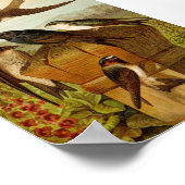 Noord-Amerikaanse vogels | Gustav Mü tzel Poster (Hoek)