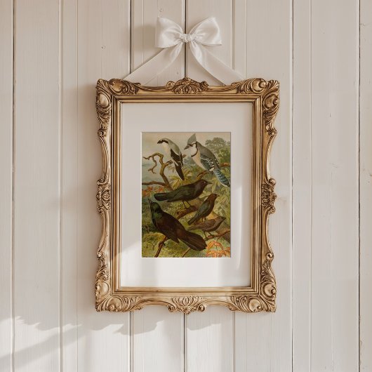 Noord-Amerikaanse vogels | Gustav Mü tzel Poster