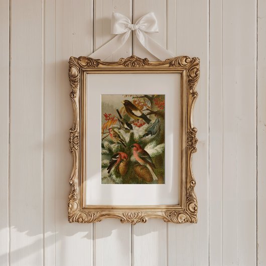 Noord-Amerikaanse vogels | Gustav Mü tzel Poster