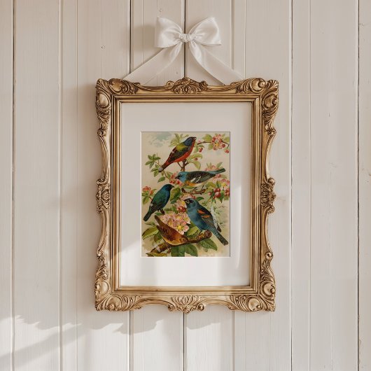 Noord-Amerikaanse vogels | Gustav Mü tzel Poster