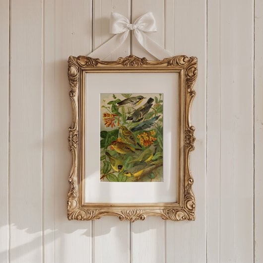 Noord-Amerikaanse vogels | Gustav Mü tzel Poster