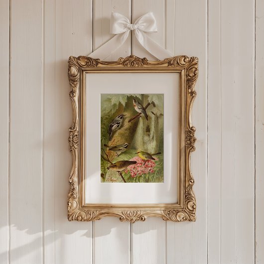 Noord-Amerikaanse vogels | Gustav Mü tzel Poster