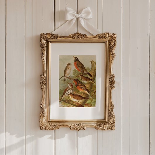 Noord-Amerikaanse vogels | Gustav Mü tzel Poster