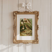 Noord-Amerikaanse vogels | Gustav Mü tzel Poster