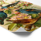 Noord-Amerikaanse vogels | Gustav Mü tzel Poster (Hoek)