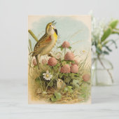 Noord-Amerikaanse vogels | Robert Ridgway (Staand voorkant)