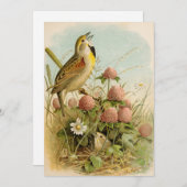 Noord-Amerikaanse vogels | Robert Ridgway (Voorkant / Achterkant)