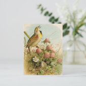 Noord-Amerikaanse vogels | Robert Ridgway Briefkaart (Staand voorkant)