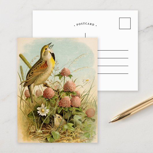 Noord-Amerikaanse vogels | Robert Ridgway Briefkaart