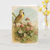 Noord-Amerikaanse vogels | Robert Ridgway Kaart (Gele Bloem)