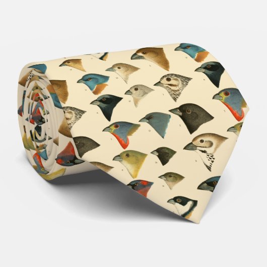 Noord-Amerikaanse vogels Stropdas (Opgerold)