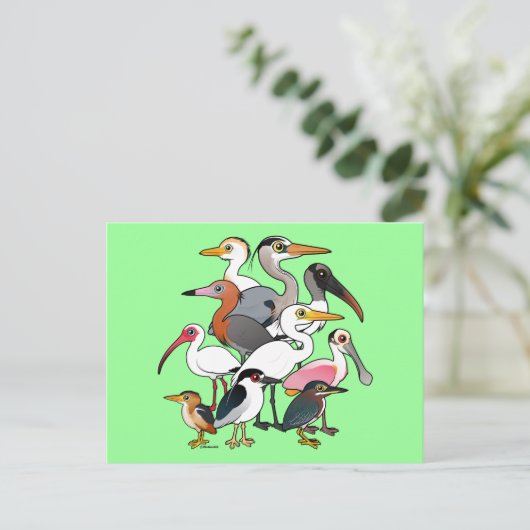 Noord-Amerikaanse Waders Briefkaart (Staand voorkant)