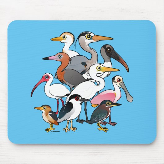 Noord-Amerikaanse Waders Muismat (Voorkant)