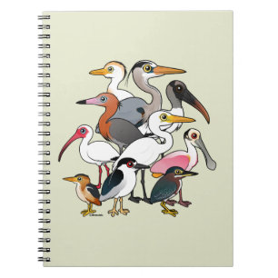 Noord-Amerikaanse Waders Notitieboek