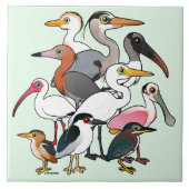 Noord-Amerikaanse Waders Tegeltje (Voorkant)