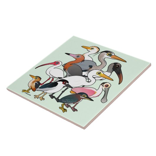 Noord-Amerikaanse Waders Tegeltje (Zijkant)