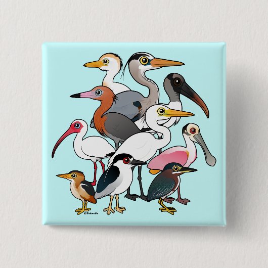 Noord-Amerikaanse Waders Vierkante Button 5,1 Cm (Voorkant)